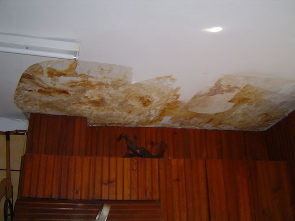 plafond mis à nu